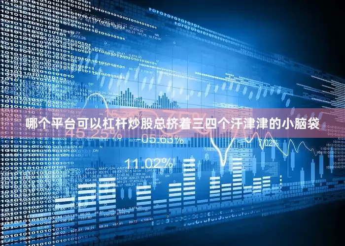 哪个平台可以杠杆炒股总挤着三四个汗津津的小脑袋